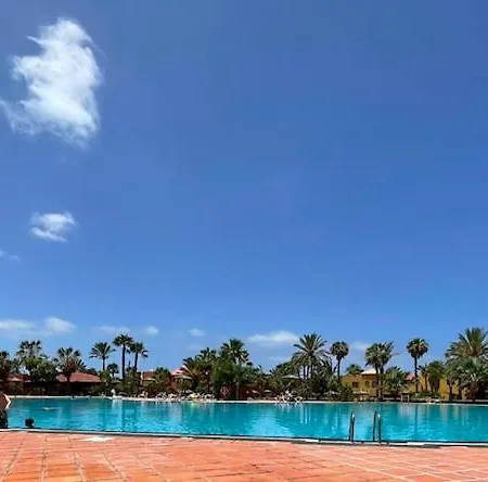 Casa Cayenne - Stylish With Ocean/dune View Διαμέρισμα *